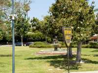 🌟 Hollywood Dreams in LA! 🌴