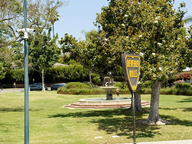 🌟 Hollywood Dreams in LA! 🌴