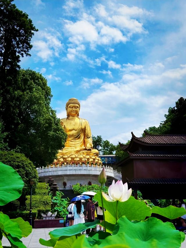 藏喺重慶九龍坡嘅心靈淨土華岩寺