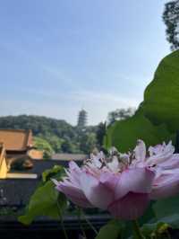 🌄【杭州秘境】拍雷峰塔絕美視角+濟公故事中的運木古井