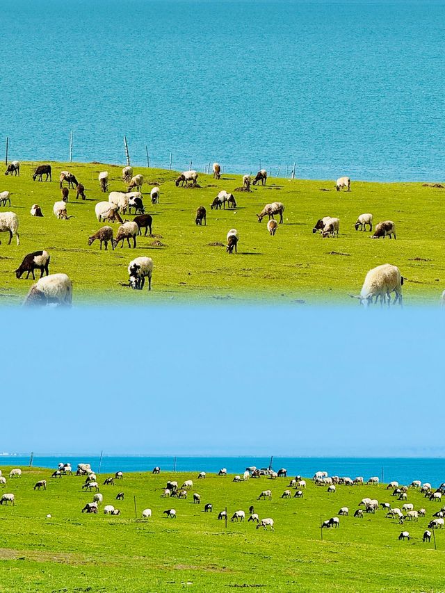 是山川 是湖海 是自由