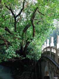 廣州旅遊本地人私藏的好去處—越秀公園～