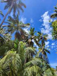 An Unforgettable Stay at Villa Park Sun Island