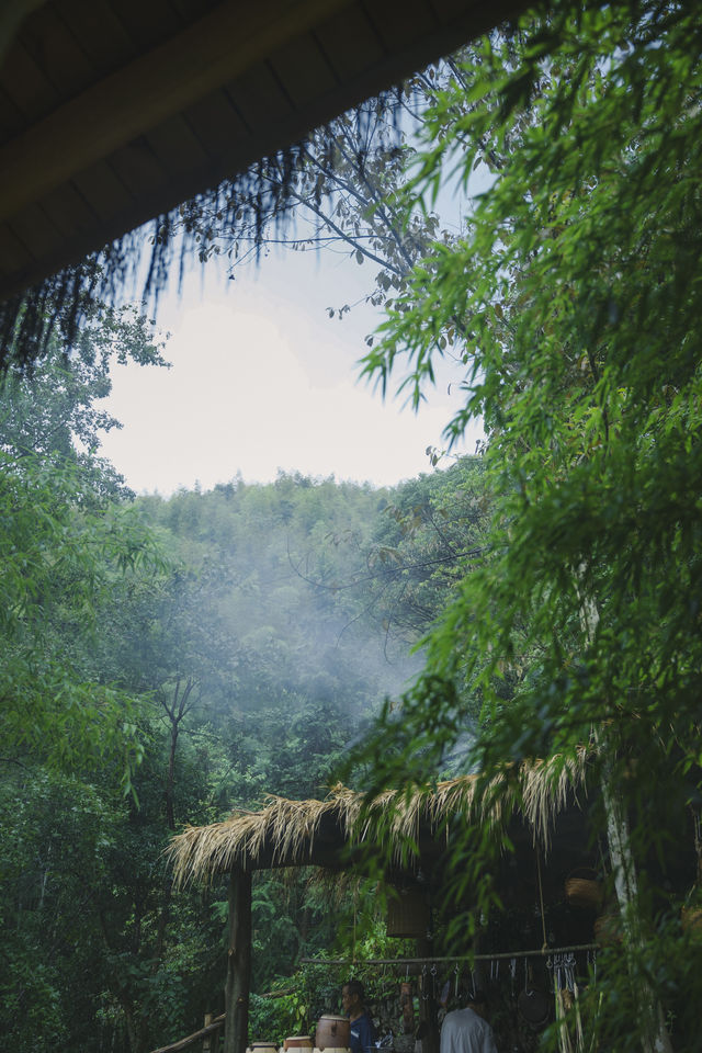 煩惱泡進山雨裏了,下山再撈吧! 煩惱泡進山雨裏了,下山再撈吧!