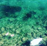 英國湖區3日遊攻略|走進童話般的秋天油畫世界