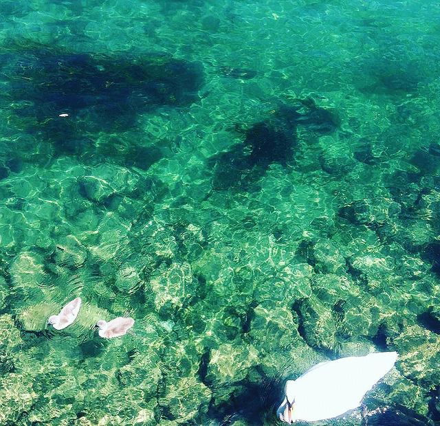 英國湖區3日遊攻略|走進童話般的秋天油畫世界 英國湖區3日遊攻略|走進童話般的秋天油畫世界