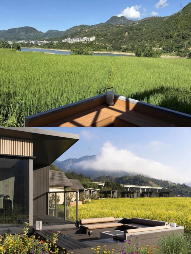 福州周邊驚現稻田隱居天花板！2天躺平計劃啟動！
