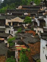9月錯峰遊篁嶺｜本地人不會說的保姆級攻略