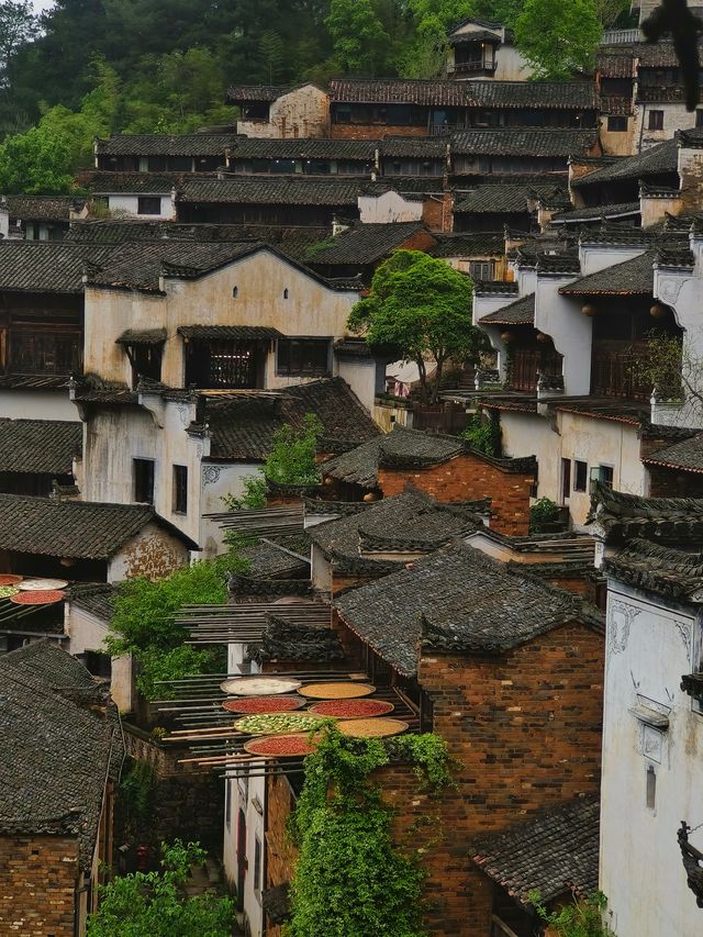 9月錯峰遊篁嶺｜本地人不會說的保姆級攻略