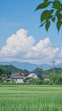 深圳五天四夜攻略5000