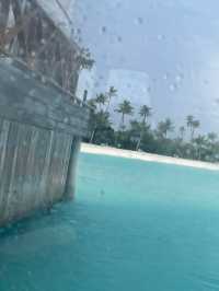 Unforgettable Vacation Experience