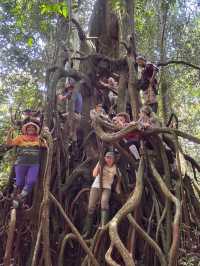 Orangutan Adventure: Life-Changing Moments and Unforgettable Smiles