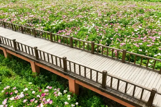 亳州逛吃記：在曹操故里，聞著藥香，穿越千年