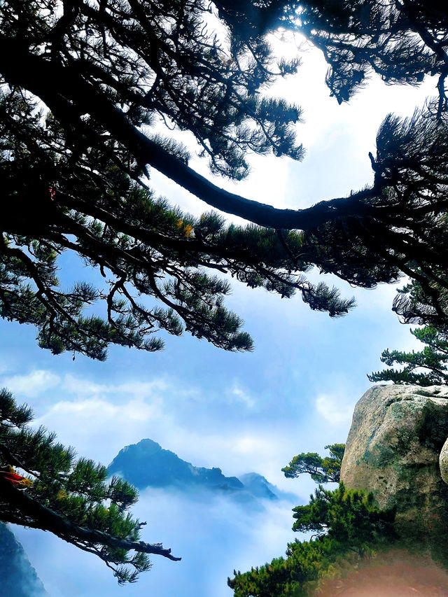 華山絕美雲海路線