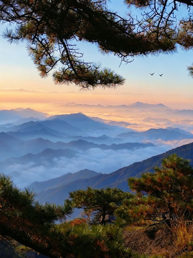 黃山兩天一夜徒步路線慢爬看峽谷賞日落