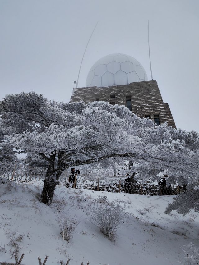 黃山冬日仙境！保姆級雪景攻略+冷門機位大公開 杭州出發2h直達！黃山雪景封神了家人們！ 