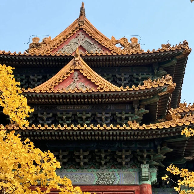 🍂🏮베이징 가을 여행의 로망, 이 골목길을 따라 걷다  🍂🏮베이징 가을 여행의 로망, 이 골목길을 따라 걷다