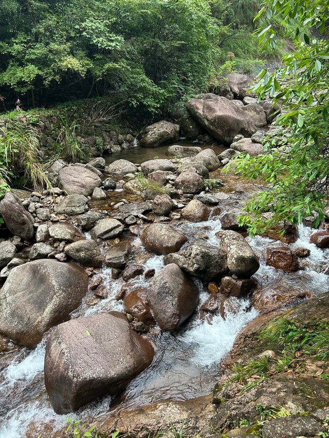 衢州藥王山|馬尾瀑下聽泉鳴 原始林中覓仙蹤 衢州藥王山|馬尾瀑下聽泉鳴 原始林中覓仙蹤