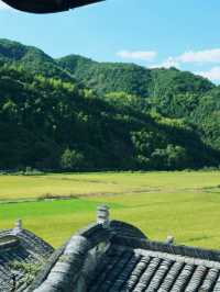 稻田裡的遺世之作:廣渡村大公殿