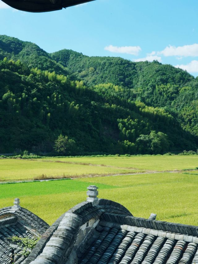 稻田裡的遺世之作:廣渡村大公殿 稻田裡的遺世之作:廣渡村大公殿