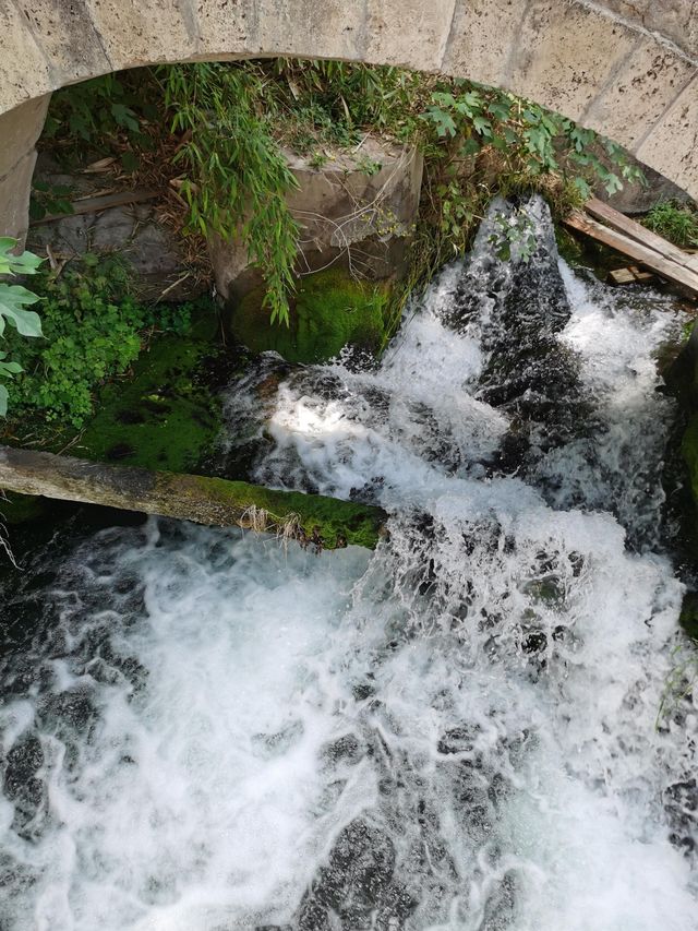 平陽湖遊玩大揭秘！風景竟藏在這
