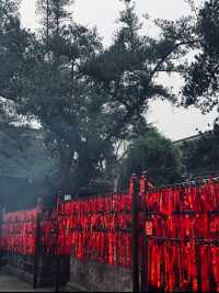 成都文殊院｜喝茶·抄經·素齋|年輕人的慢生活
