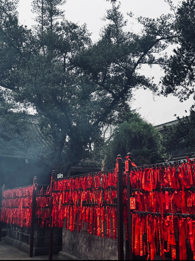 成都文殊院｜喝茶·抄經·素齋|年輕人的慢生活