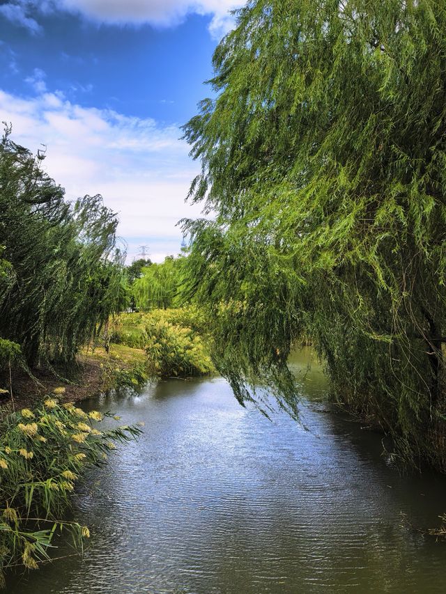 上海，唐城綠地文化公園
