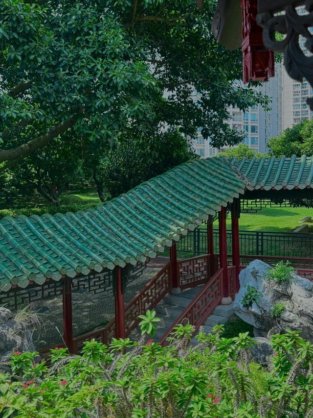 深圳人必衝！99%不知道的寶藏錦鯉園林