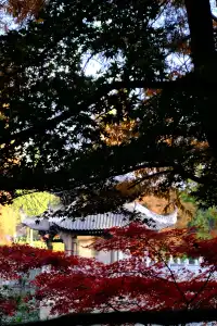 郊野園林第一家的習家池之秋太美囉！！