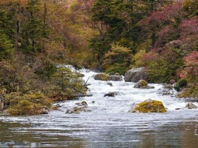 康定秋韻：隱藏於高原的限定浪漫