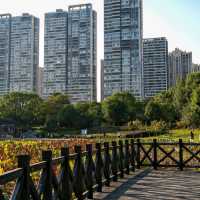 Golden Hour in Ganzhou Central Park 🌅✨
