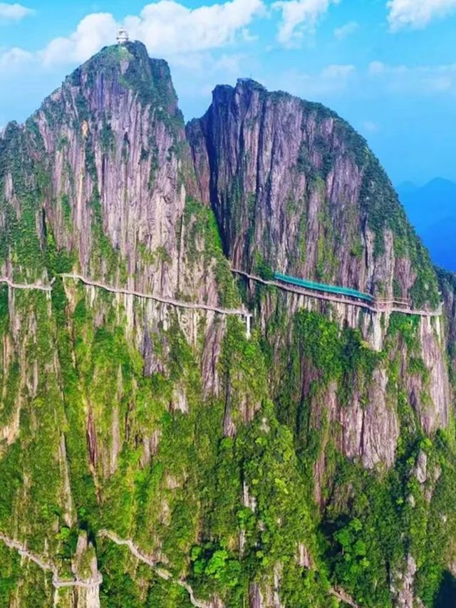 莽山五指峰東門攻略看這篇就夠了