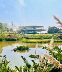 好像走進了莫奈的花園深圳恩上公園！