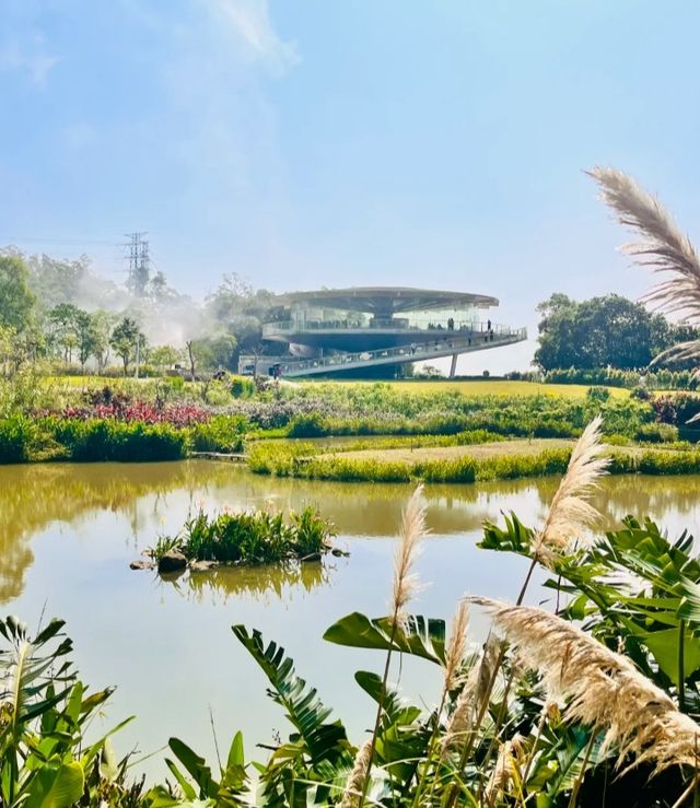 好像走進了莫奈的花園深圳恩上公園！