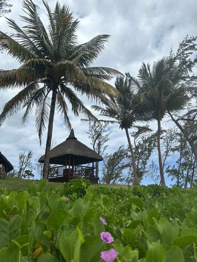 "A Stay with Scenic Views and Attentive Service" "A Stay with Scenic Views and Attentive Service"