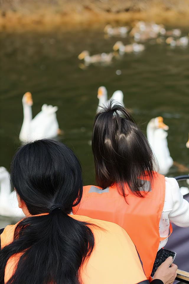 什麼在紅山楂酒店竟然不能躺平 什麼在紅山楂酒店竟然不能躺平
