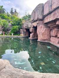 溫泉泳池私藏攻略