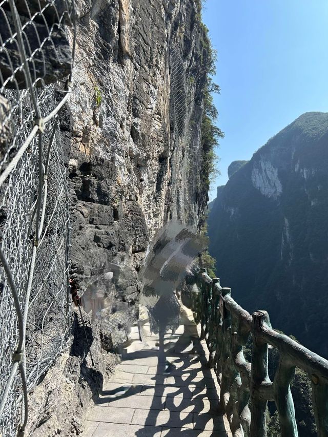 屏山大峽谷 屏山大峽谷