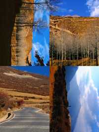 免費吸氧地！貴德江拉旅遊實用筆記