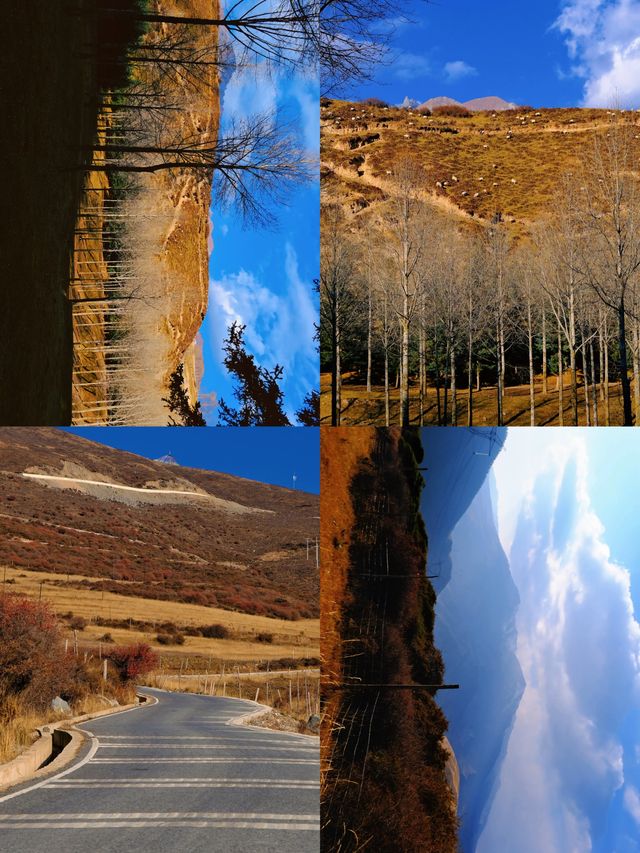 免費吸氧地！貴德江拉旅遊實用筆記