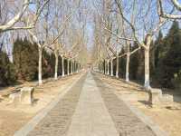 明祖陵神道石刻及陵冢玄宮