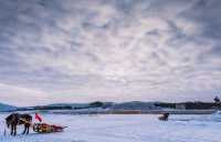 漠河3天2晚純玩遊|極光之旅 純玩品質團