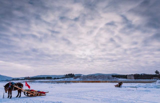 漠河3天2晚純玩遊|極光之旅 純玩品質團