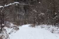 冬日徒步尋蹤野趣