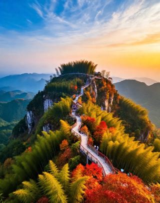 南国の天然酸素バー｜竹林を抜けて風を聞き、頂上から雲海を眺める｜喧騒を離れた癒しの旅