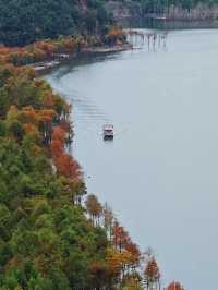 皖南紅杉林 + 竹海挖筍！智能美墅太絕