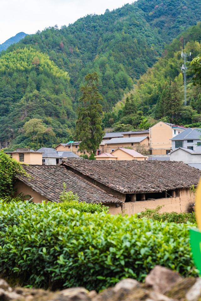 秋假反向遊 |麗水遂昌自駕兩天一夜小記 秋假反向遊 |麗水遂昌自駕兩天一夜小記