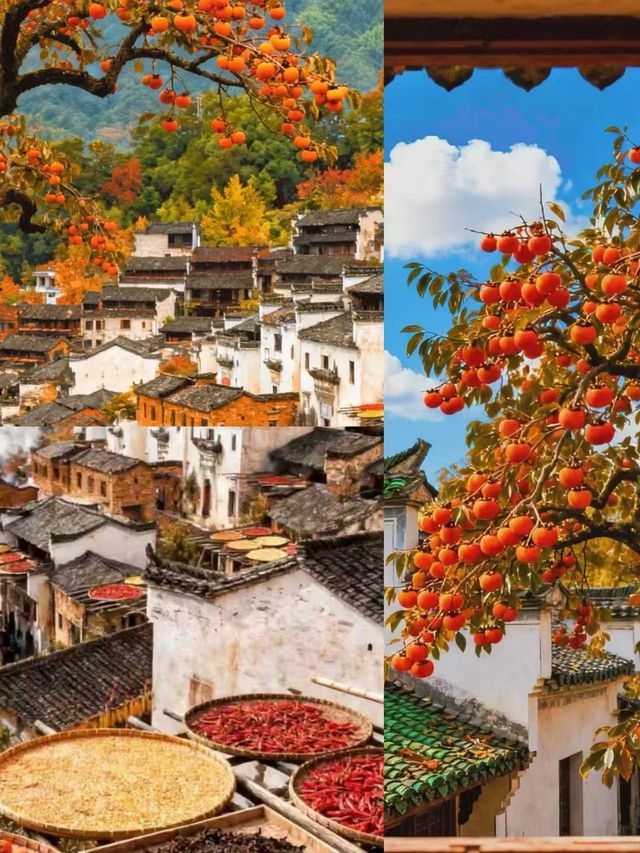 被《國家地理》評為最美古村的秋天有多絕