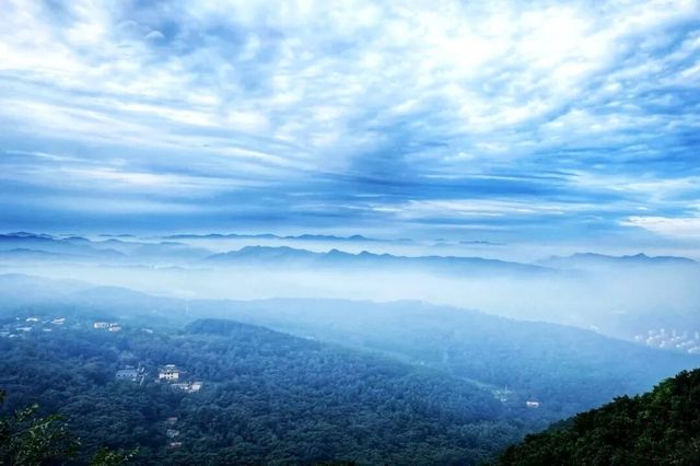 探秘平頂山：一座讓你心跳加速的「天然氧吧」！